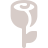 Rose Icon